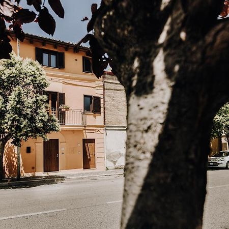 B&B La Cicala Vasto Dış mekan fotoğraf